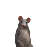 @SydNguy111
