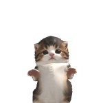 @kuteekatiee
