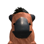 @Fluquids