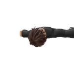 @DustysToes