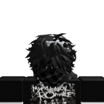 @Robloxian204875341