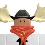 @xArmadillo