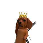 @cohentherobloxgamer1