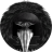 CurlygirlReg