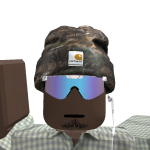 @TranslinkGuy
