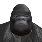 @guestoscar3000