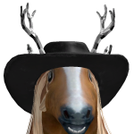 @Dawbubby