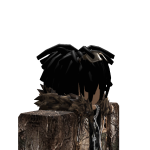 @DarkCrow1233