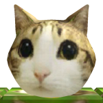 @Toftinator1