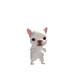@indi_dogo