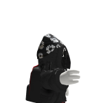 @zokkomonplayz