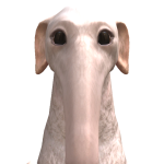 Behrinho