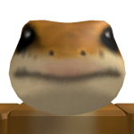 @sqrrrew