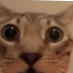 @ITSCAKECRAFT