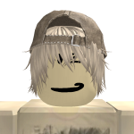 @creeperfan55