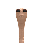 @0rangee_juiic2