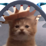 user-avatar