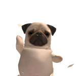 @16kocean1
