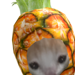 @wtjhshkj