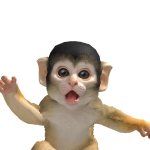 @MrTrades_YT
