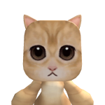 @Sunsetlions2
