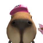 @rachelplays_xxo