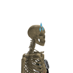 @TurtlesssssUwU