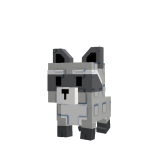 @Raccoonn710
