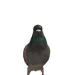 @LOL1001000