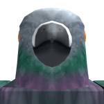 @Pigeon_Bot