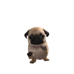 @pugspugnat