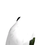 @Cherrybl0ss0m24
