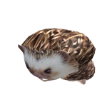 @CarlosPunch12
