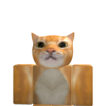 @kittenlover102046