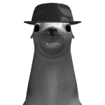 @suagty