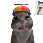 @KennyTM1