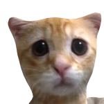@AdasLOL007