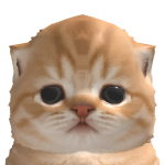 @Trynker