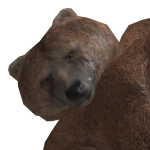 @grizzlie2021