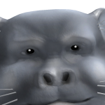 @hehevic