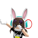 @dandan005500