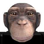 @SheFwAspect
