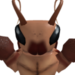 @bedwars_dev77