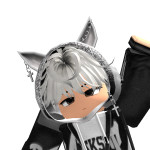 @amirgstarskibidirizz