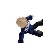 @robloxharry101