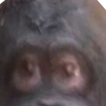 @Avrian1389