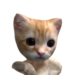 @rosie_lit007