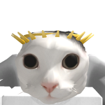 @uslovesroblox