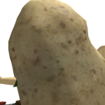 @swaghamster12349