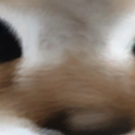 @PuffyBadmartin